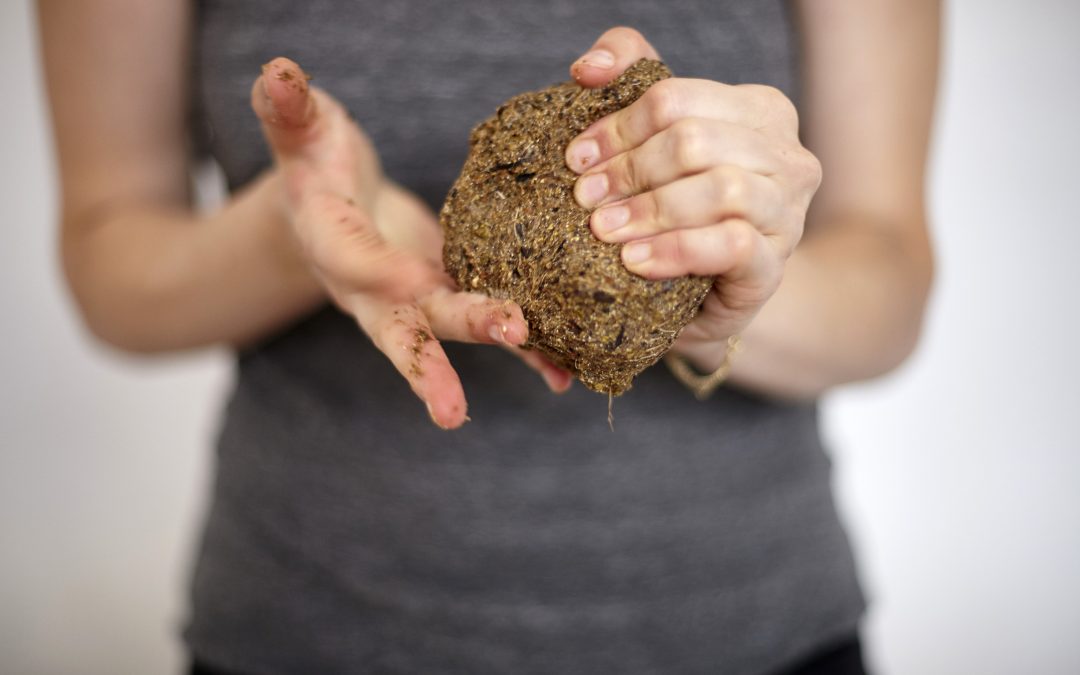 Materialentwicklung aus biologischen Abfällen